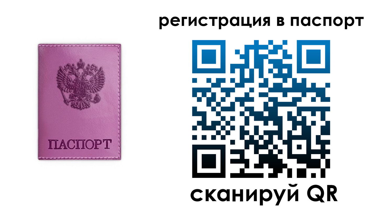 прописка в Судогде